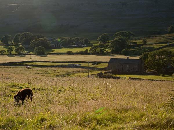 Dale House Farm Cottage Weathercote 외부 사진